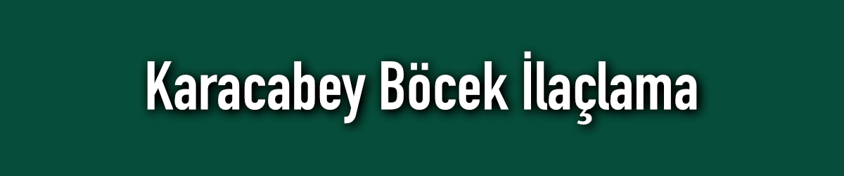 Karacabey Böcek İlaçlama